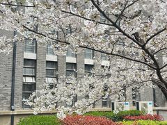 -华东理工大学(徐汇校区)