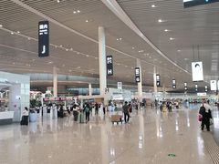 -青岛胶东国际机场
