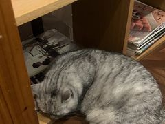 -隅cafe(傅厚岗店)