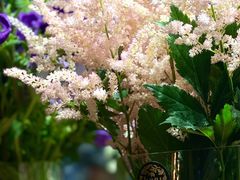 -花十悦·鲜花咖啡餐厅(振业城一期店)