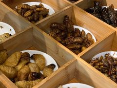 -昆虫窝子·特色云南菜(拓东路总店)