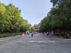 -迎泽公园