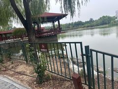 -古塔公园