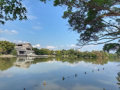 -江心屿景区