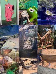 -Zoolung Zoolung动物主题公园(海信广场店)