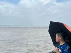 -观潮胜地公园