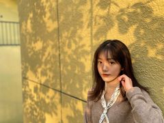 -三里屯东五街银杏大道