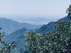 -大岭沟猕猴桃谷风景区