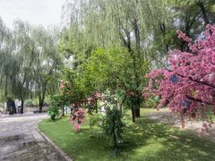 -北京世界公园