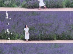 -紫颐香薰山谷景区