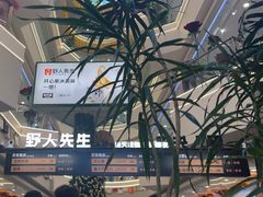 -野人先生Gelato(上海长宁龙之梦店)