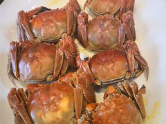 清蒸大闸蟹-香山家宴