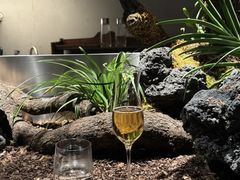 -曲廊院(东四十一条店)