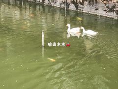 -苏州碑刻博物馆