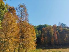 -广州市白云山风景名胜区