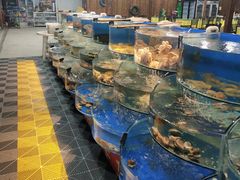 -沿海渔家院蒸汽海鲜·东北菜(东戴河店)
