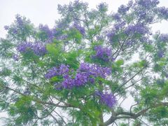 -北川羌城旅游区