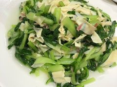 鸡毛菜百叶丝-老吉士酒家(天平路店)