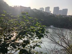 -重庆彩云湖湿地公园