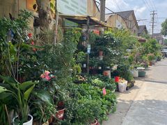 -金陵花卉交易市场