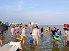 -碧海金沙