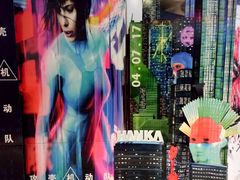 -奥斯卡升龙国际影城(RealD Cinema)