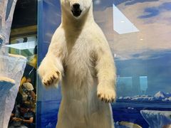 -国家自然博物馆