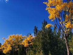 -东郊湿地公园