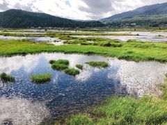 -腾冲北海湿地