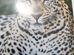 -甲乙果 美术书法(通州校区)