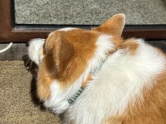 -肥朵食堂(带梦胡同店)