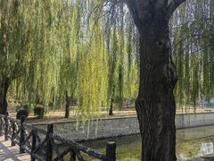 -元大都城垣遗址公园