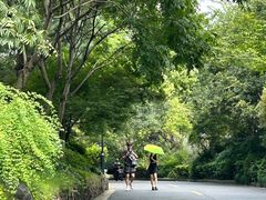 -八卦田遗址公园