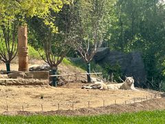 -北京野生动物园