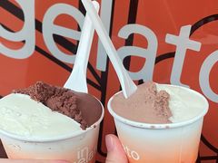 -Dip in Gelato(富民路店)