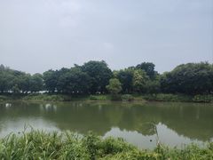 -海珠湖公园