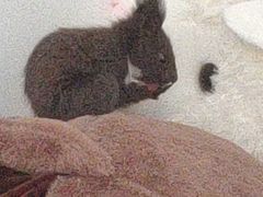 -绿岛汤泉韩式休闲会所