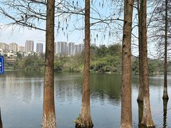 -重庆彩云湖湿地公园