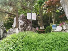 -菊花台公园