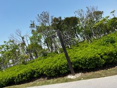 -春花秋色城市公园