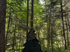 -五营红松林海景区