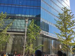 -Apple零售店(华贸购物中心店)