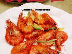 白灼斑节对虾-阳光雷迪森广场酒店(中山东路店)