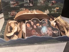 -芸山季·云南山珍菌火锅(人民广场来福士店)