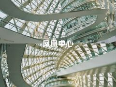 -凤凰中心