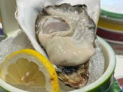 -鲜稻回转寿司(百利城店)