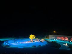 -鼎盛王朝康熙大典实景演出