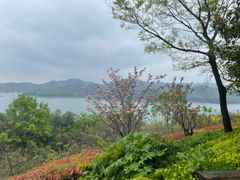 -天目湖涵田半山温泉