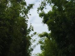 -大理洱海