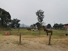 -美心红酒小镇游乐园